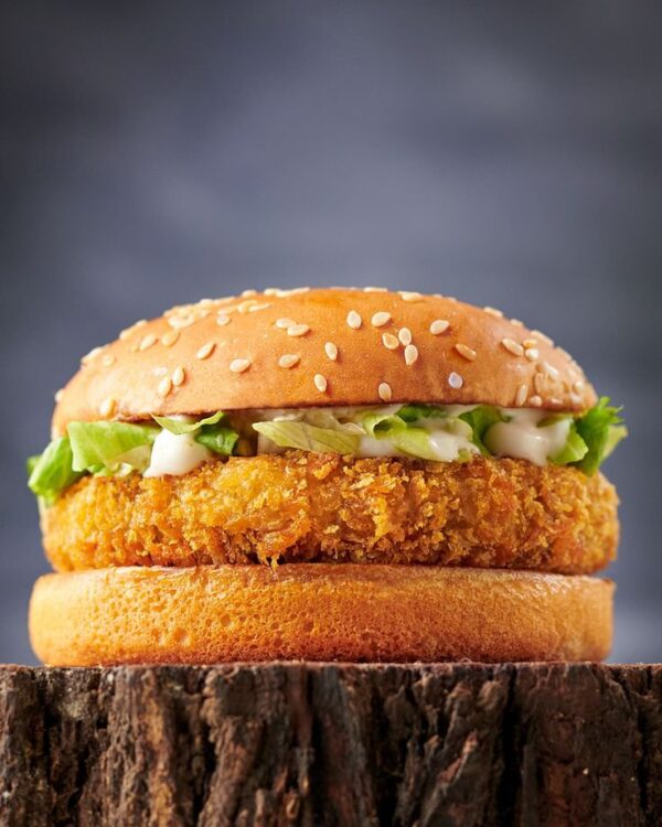 Veg Cheese Burger
